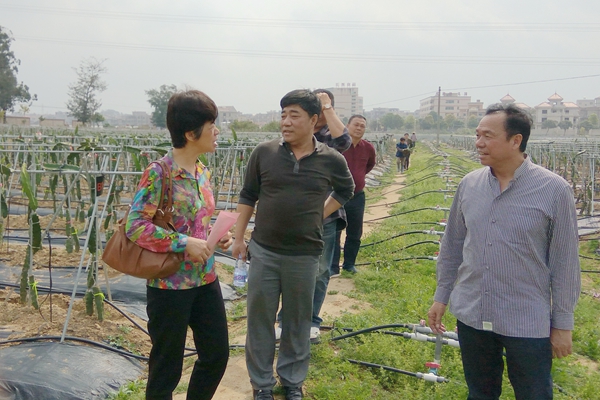 考察福建和成绿色农业有限公司