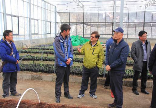 专家现场传授玫瑰基地土壤改良品质、滴水灌溉、育苗技术