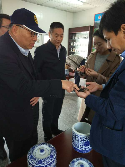 陈国林参观云台医药九制地黄等产品 陈国林参观云台医药九制地黄等产品